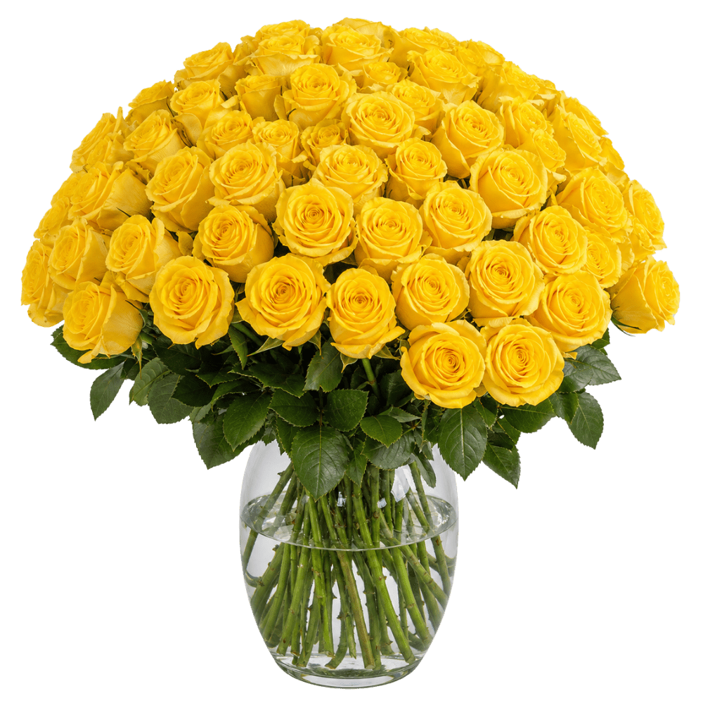 60 gelbe Rosen - Blume Ideal
