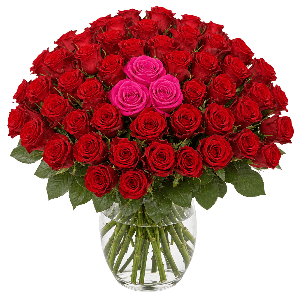60 Rosen - “Heartbeat” - Blume Ideal