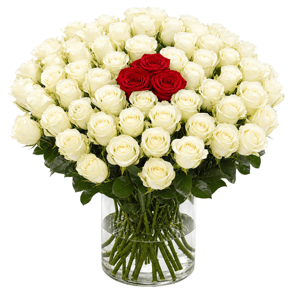 60 Rosen - “Nordlicht” - Blume Ideal