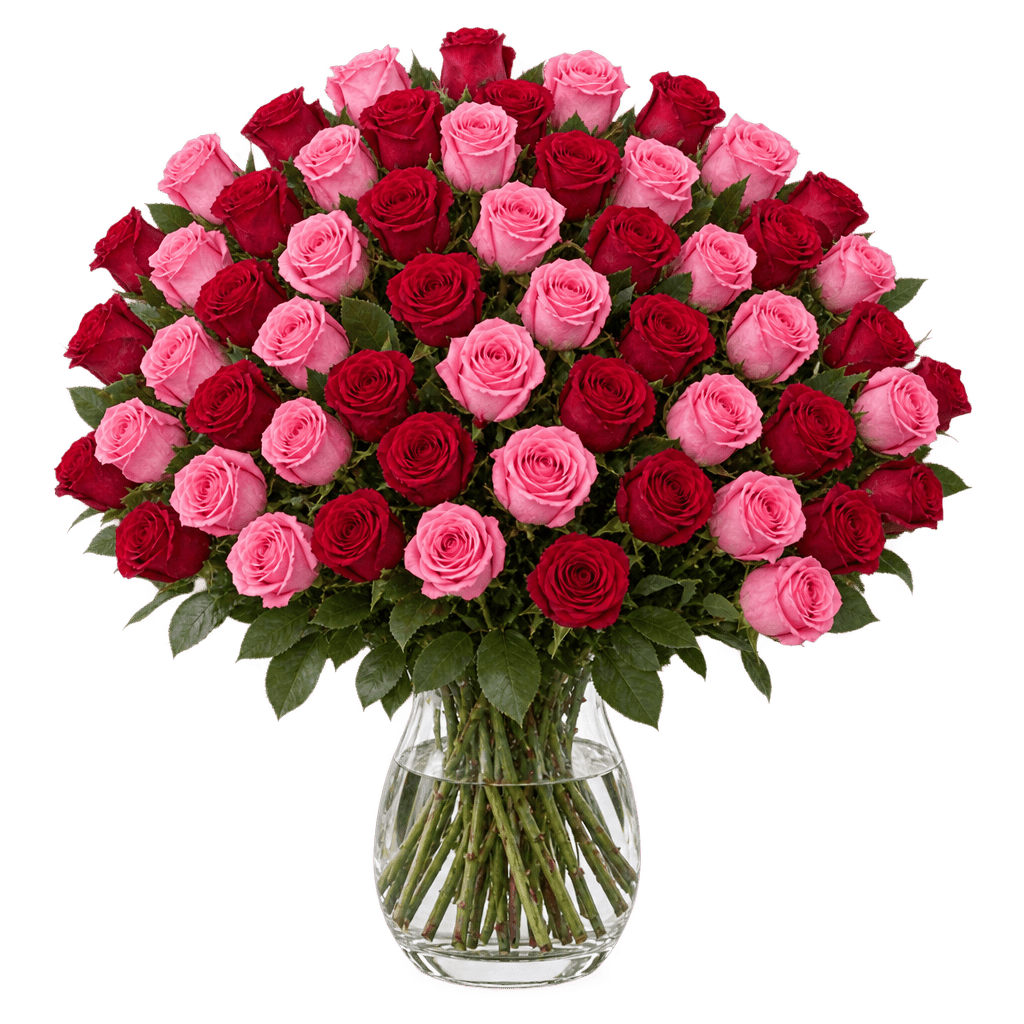 60 Rosen - "Romantic Roses" - Blume Ideal