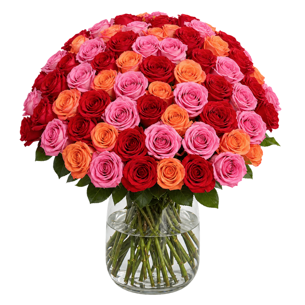 60 Rosen - “Rosenbeet” - Blume Ideal