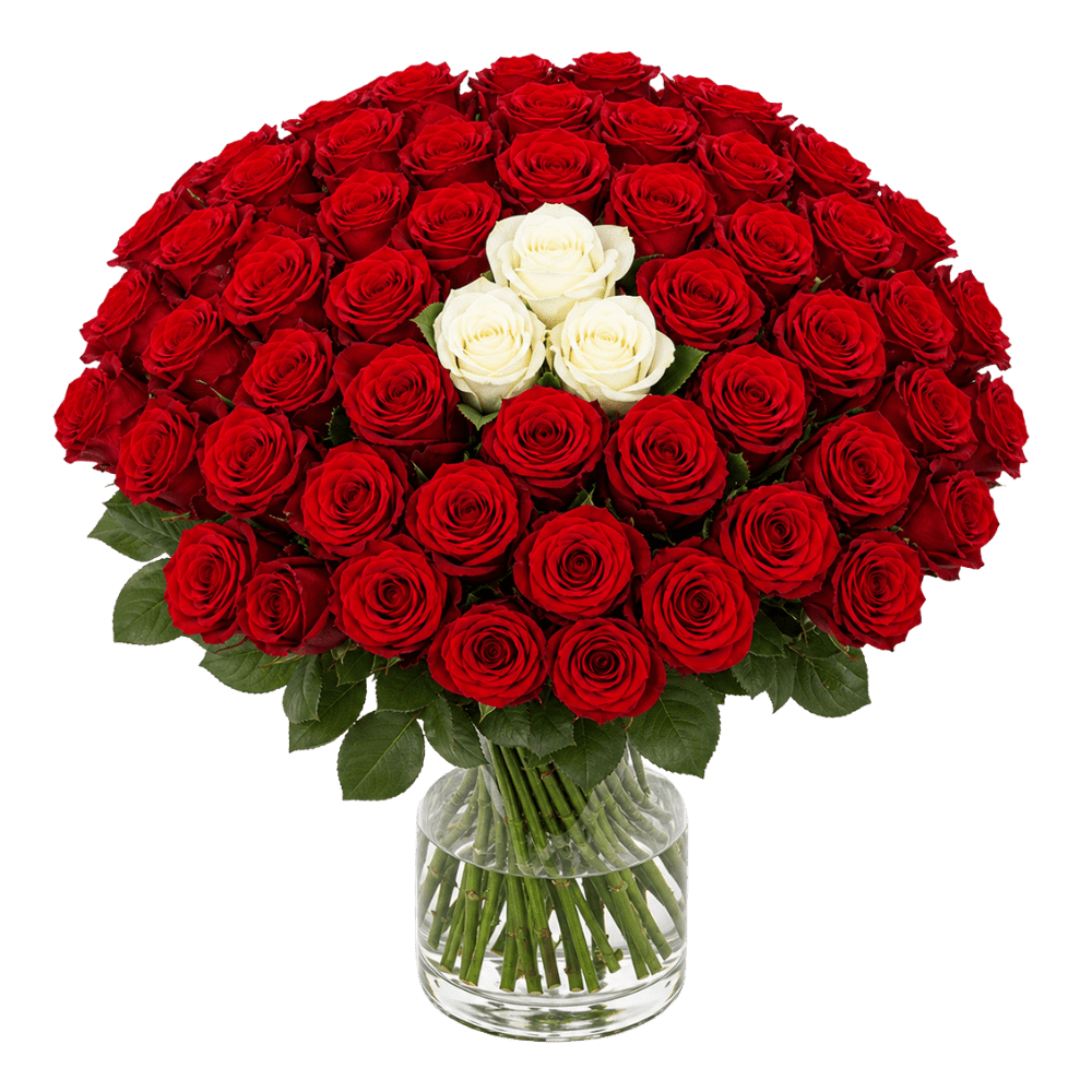 60 Rosen - “Sweetheart” - Blume Ideal