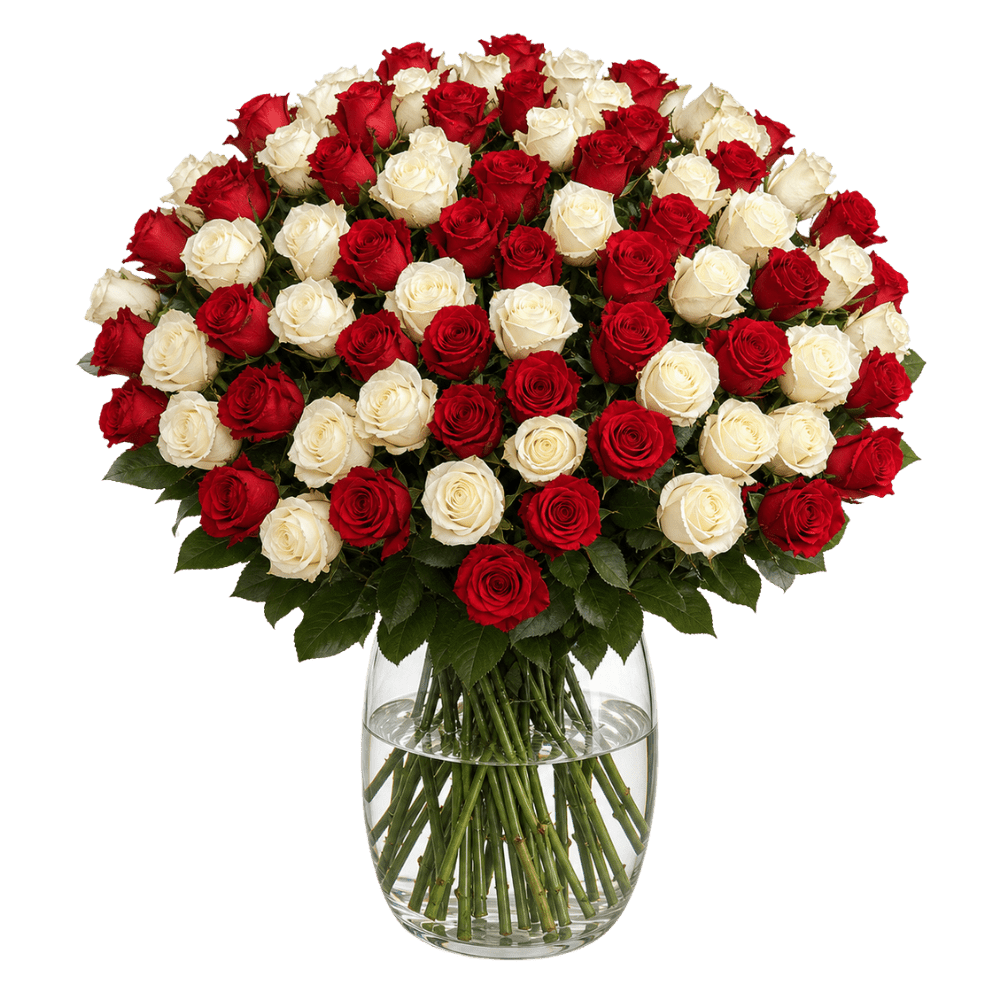 60 rot weiße Rosen - Blume Ideal