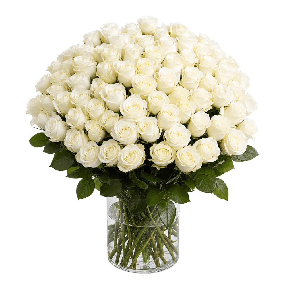 60 weiße Rosen - Blume Ideal