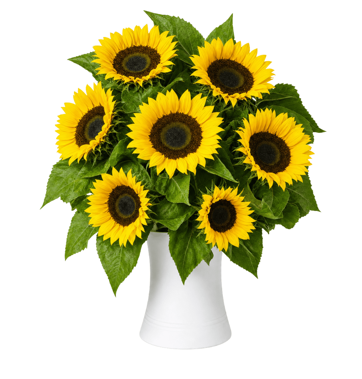 7 Sonnenblumen - Blume Ideal
