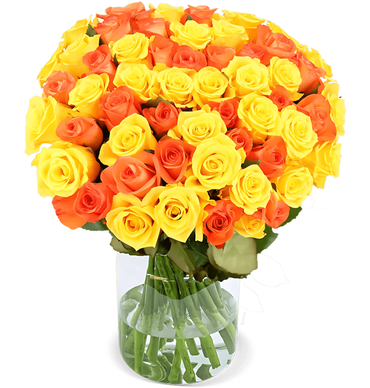 70 gelb orange Rosen – leuchtender Rosenstrauß | BlumeIdeal.de