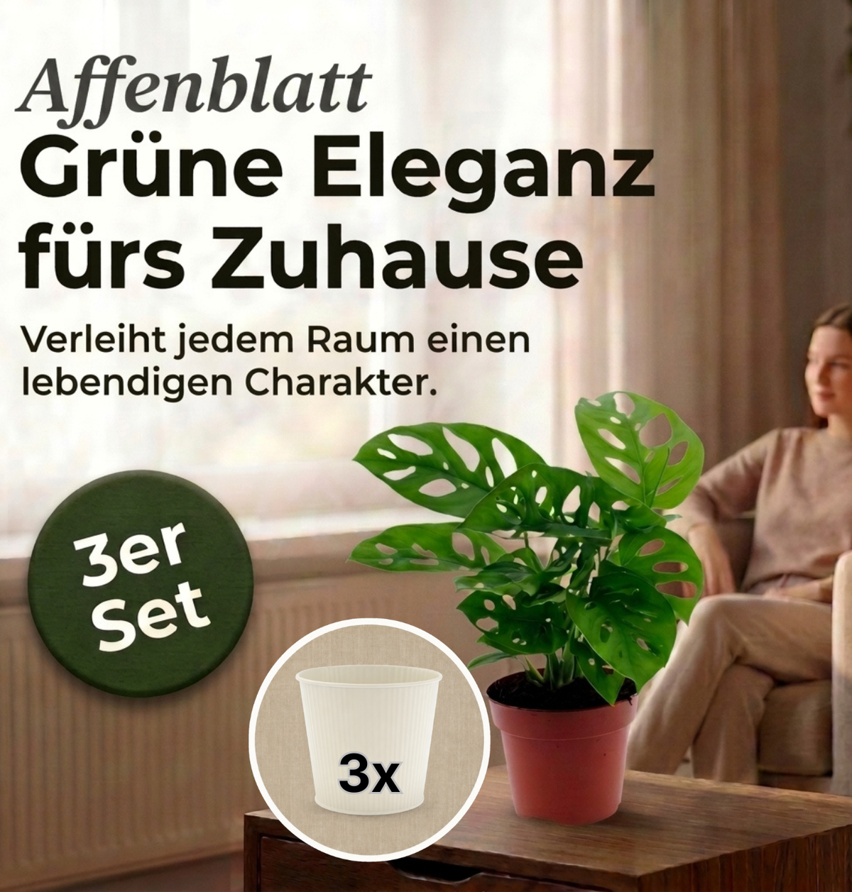 Monstera adansonii + 3x Cremefarbener Zinktopf | 3er-Set | Monkey Leaf | ca. 25-30 cm | Ø 12-15 cm Topf