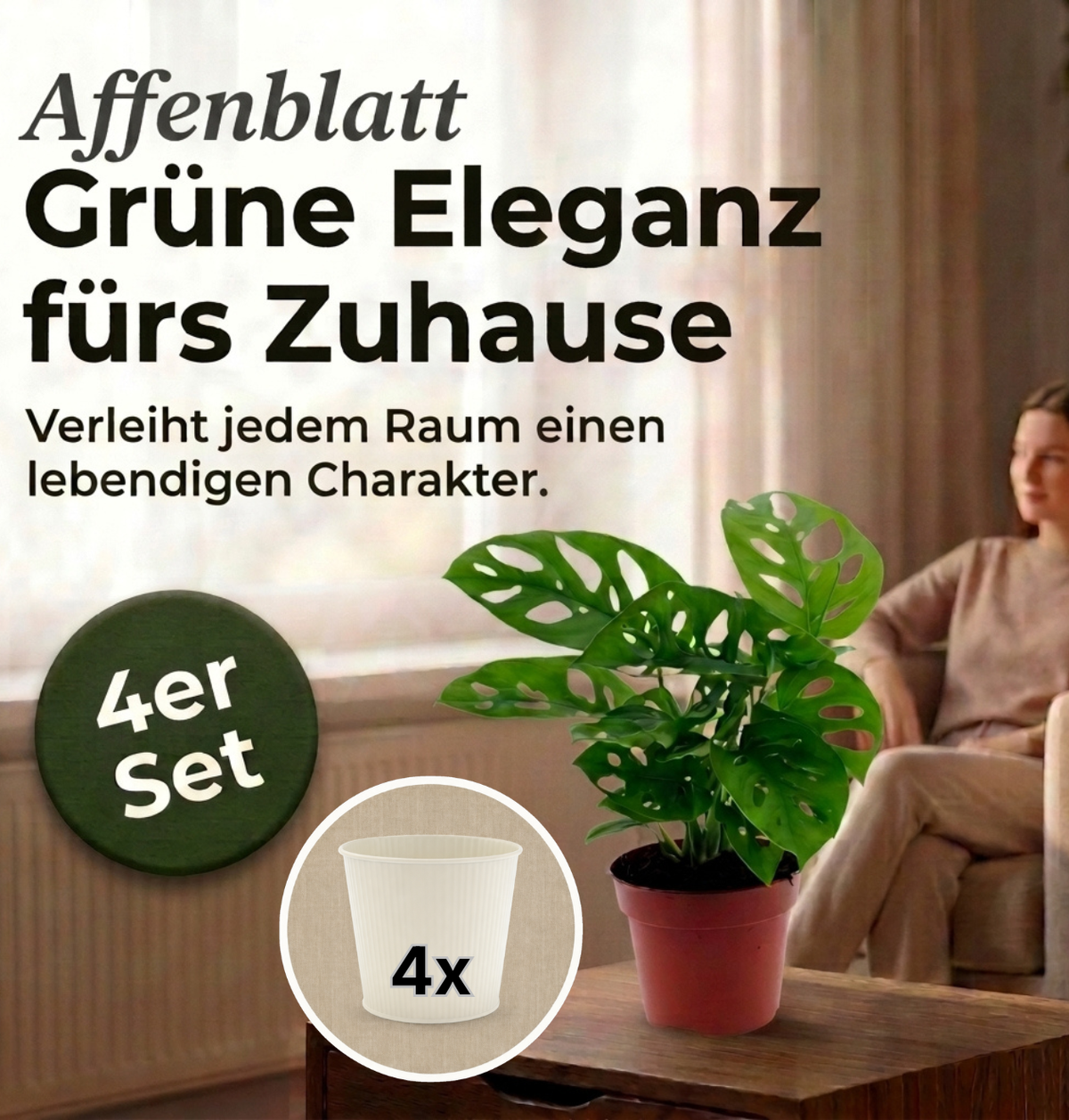Monstera adansonii + 4x Cremefarbener Zinktopf | 4er-Set | Monkey Leaf | ca. 25-30 cm | Ø 12-15 cm Topf