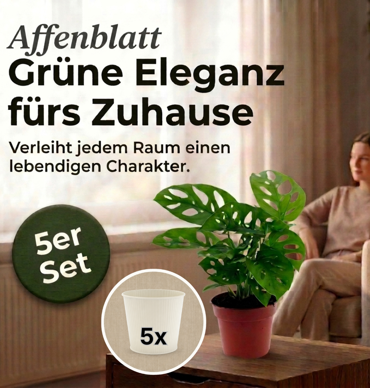 Monstera adansonii + 5x Cremefarbener Zinktopf | 5er-Set | Monkey Leaf | ca. 25-30 cm | Ø 12-15 cm Topf