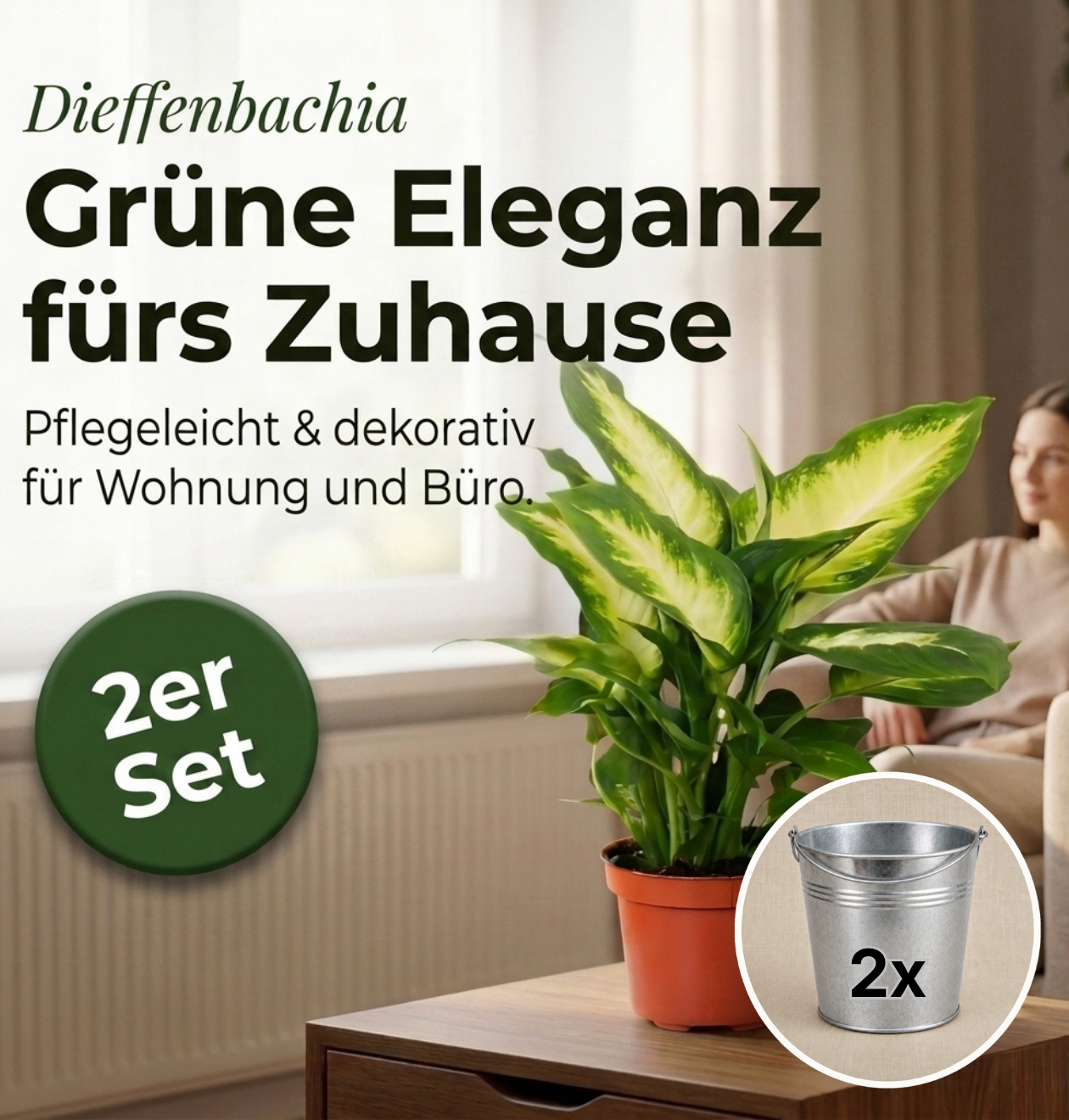 Dieffenbachia + 2x Zinktopf | 2er-Set | ca. 40-50 cm | Ø 12-15 cm Topf
