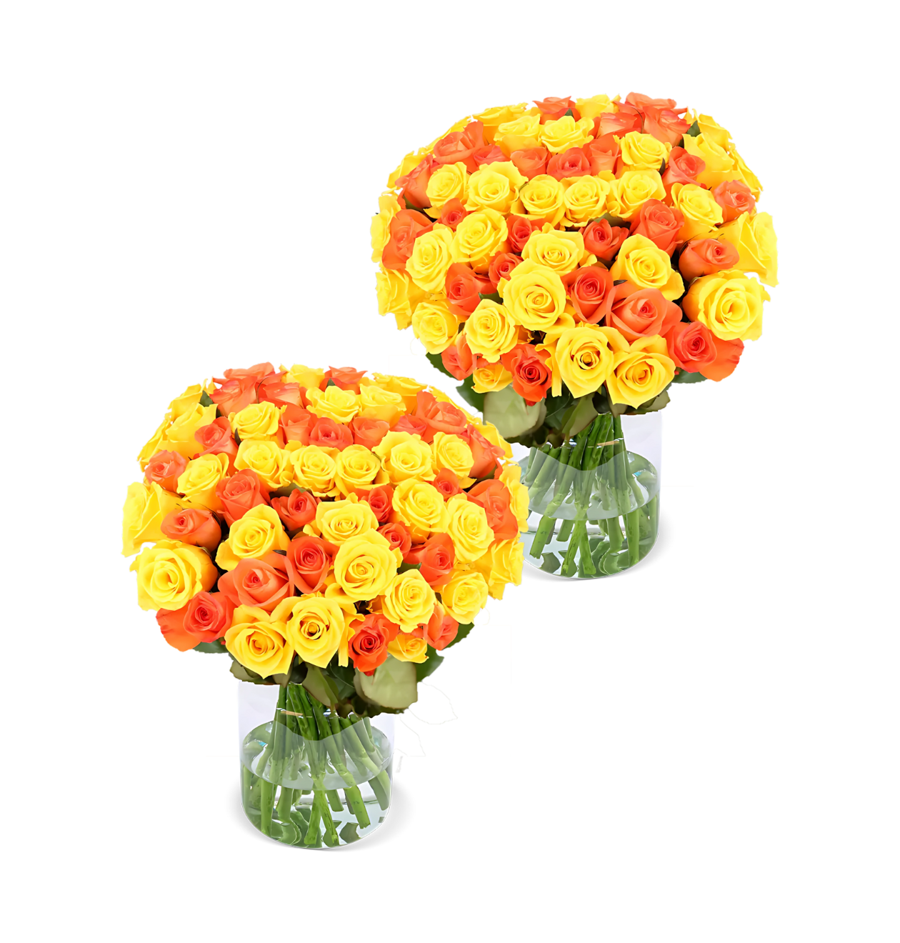 80 gelb orange Rosen (2x40 Stück)