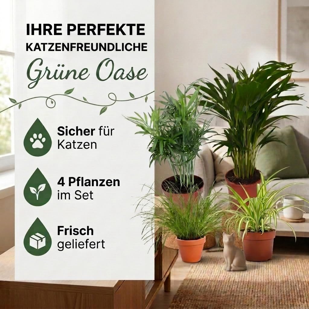 “Katzenliebhaber” Pflanzenset + 4x Cremefarbener Zinktopf | 4er-Set | ca. 30-45 cm | Ø 12-15 cm Topf