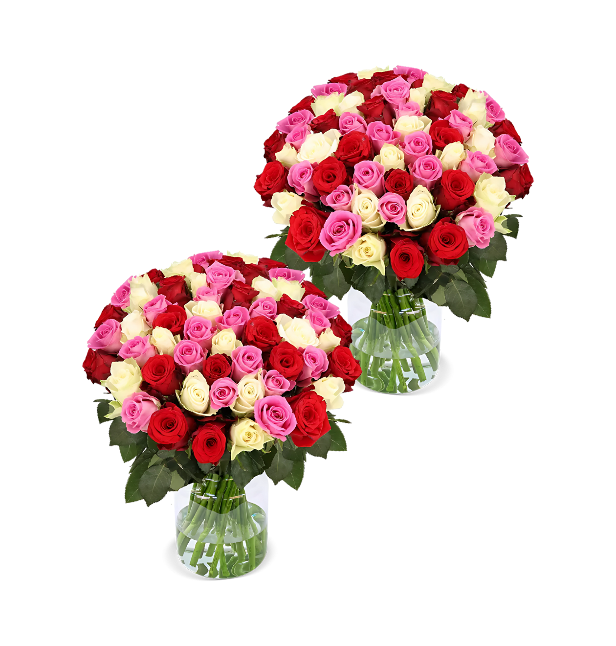 80 Rosen - "Love Loud" (2x40 Stück)