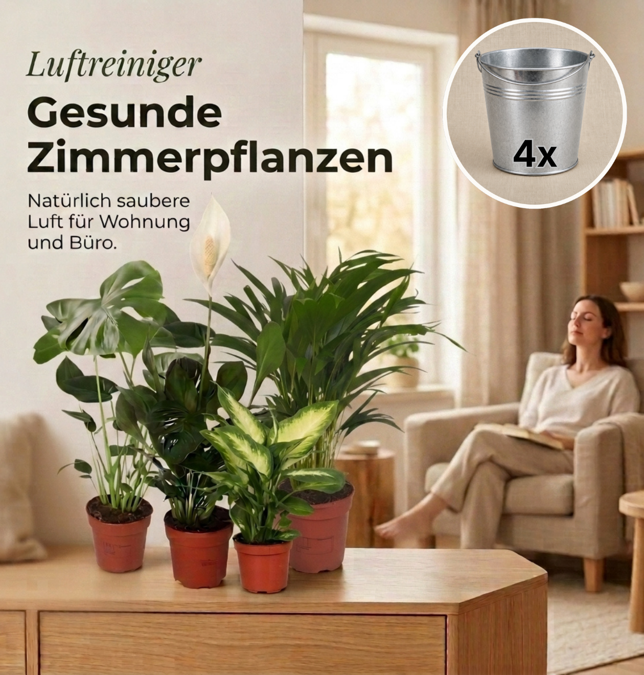 “Luftreiniger” Pflanzen-Set + Zinktopf | 4er-Set | ca. 40-70 cm | Ø 12-15 cm Topf