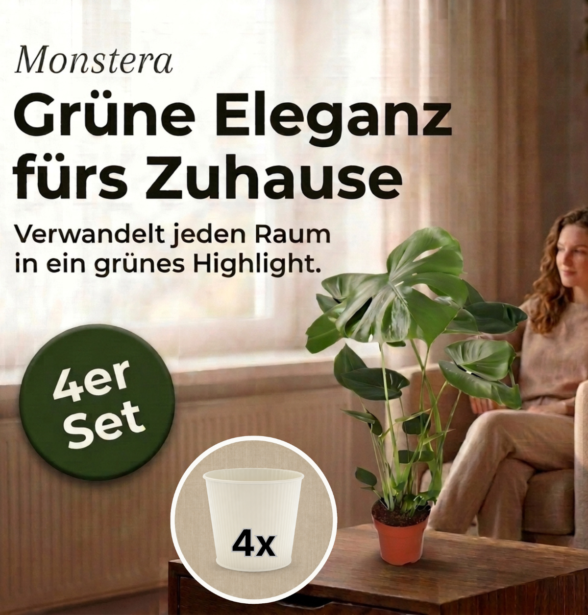Monstera deliciosa + 4x Cremefarbener Zinktopf | 4er-Set | Fensterblatt | ca. 55-70 cm | Ø 12-15 cm Topf