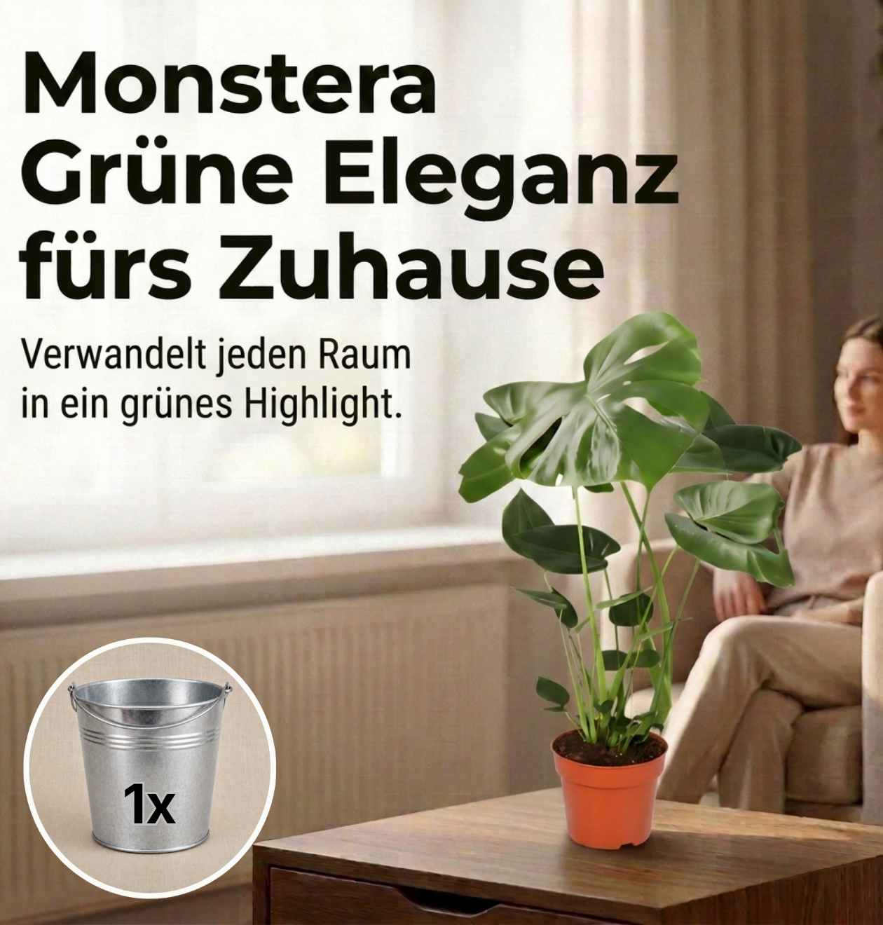 Monstera deliciosa + Zinktopf | Fensterblatt | ca. 55-70 cm | Ø 12-15 cm Topf