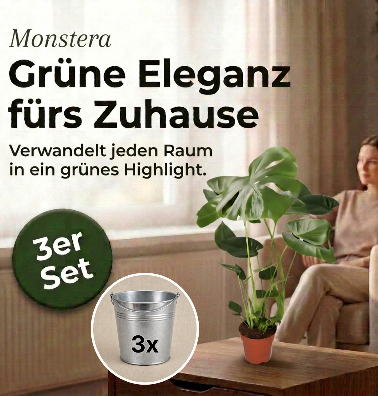Monstera deliciosa + Zinktopf | 3er-Set | Fensterblatt | ca. 55-70 cm | Ø 12-15 cm Topf