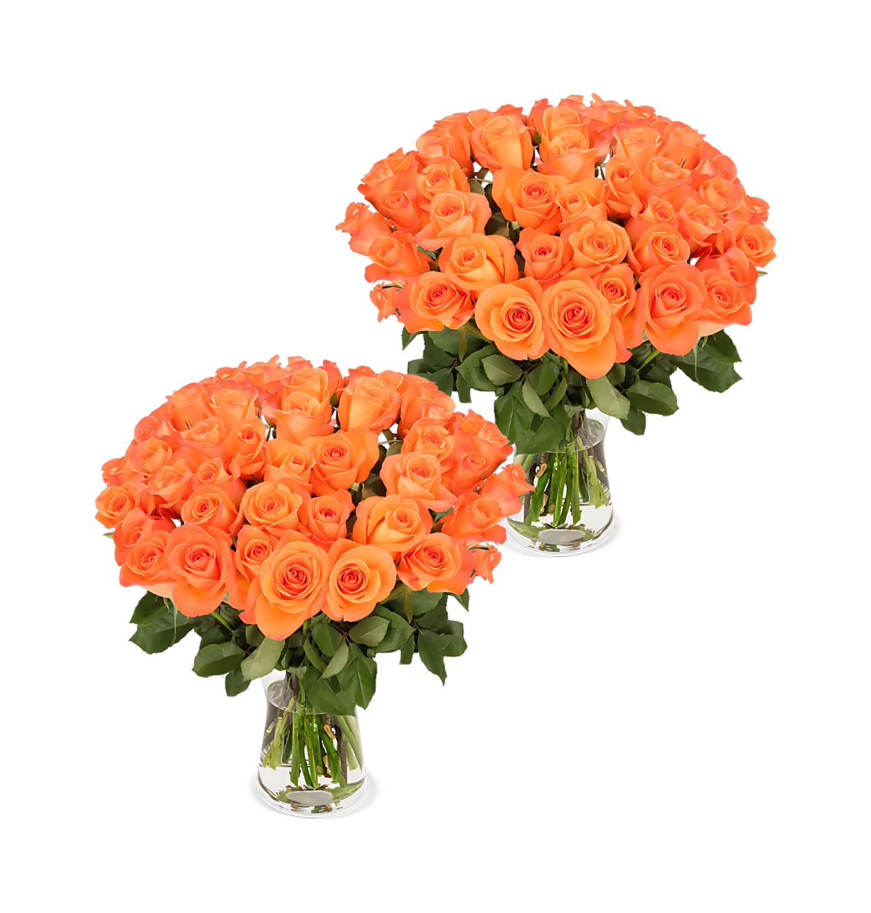 80 Orange Rosen (2x40 Stück)