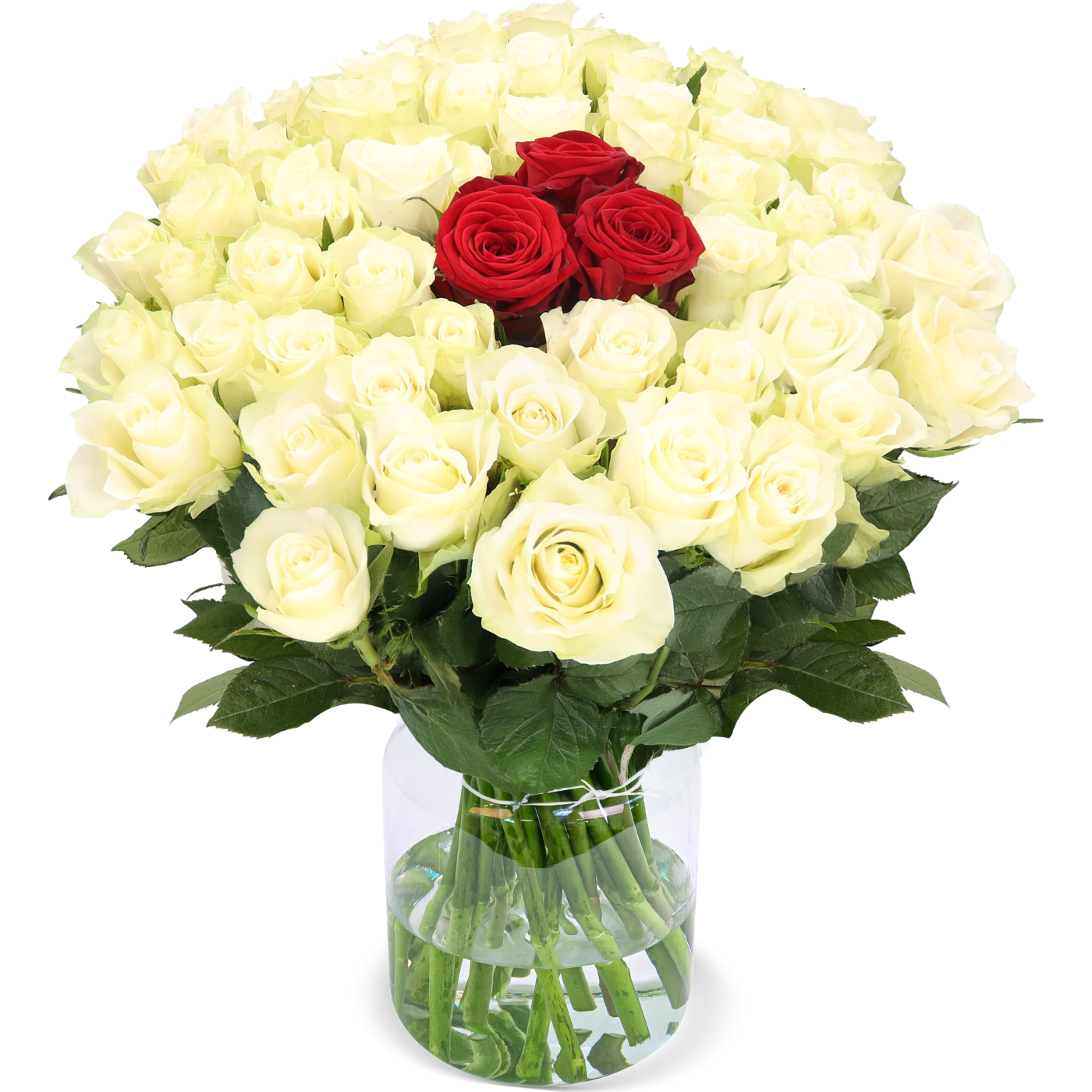 50 Rosen - "Nordlicht"