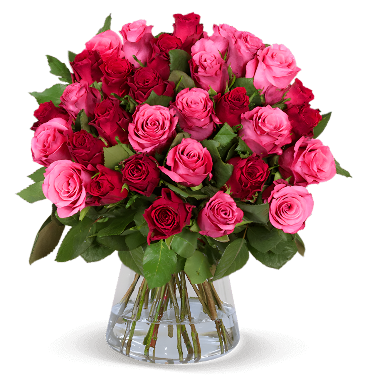 20 Rosen - "Romantic Roses"