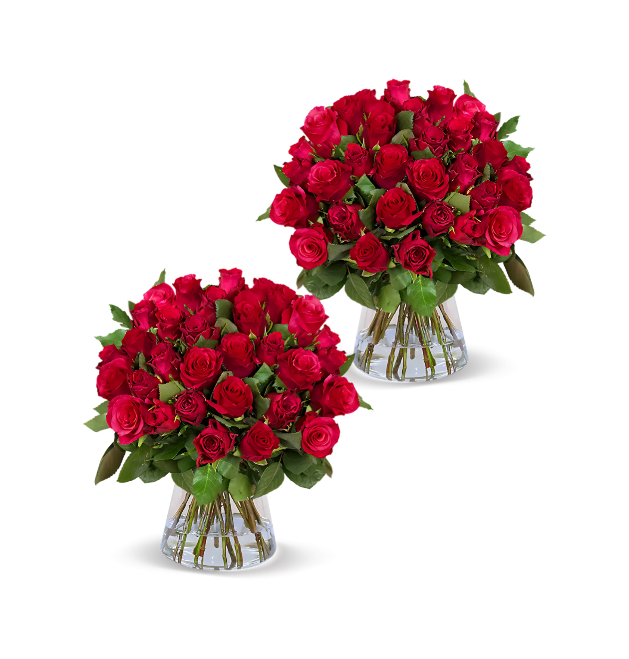80 Rote Rosen (2x40 Stück)