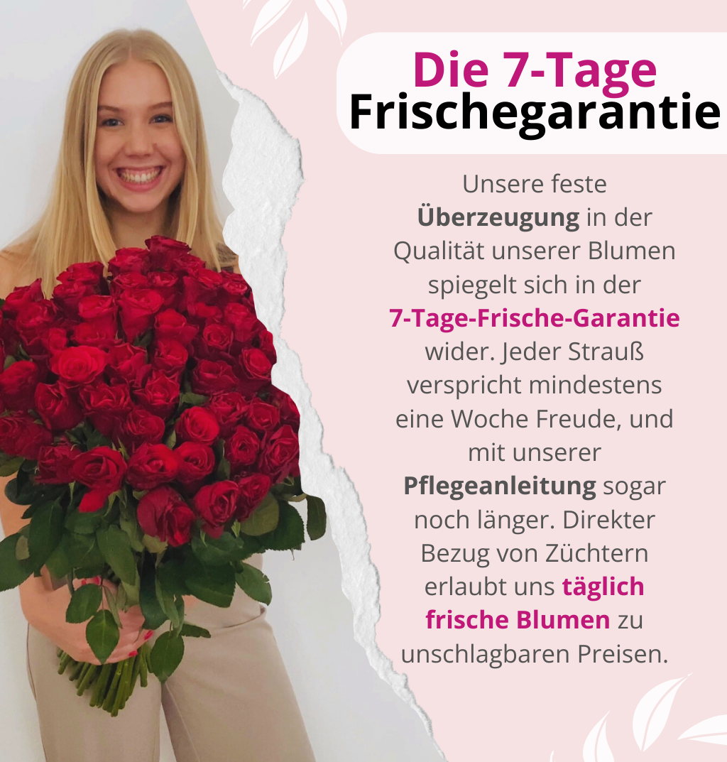 60 rote Rosen "Perfekter Liebesbeweis"