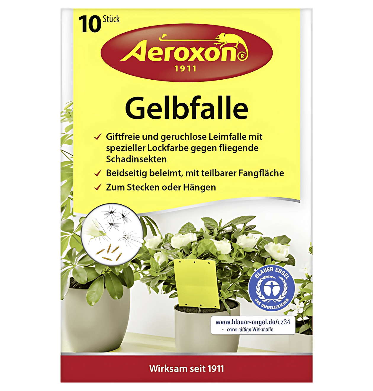 Aeroxon - Gelbfalle für Topfpflanzen (10er Pack) - Blume Ideal
