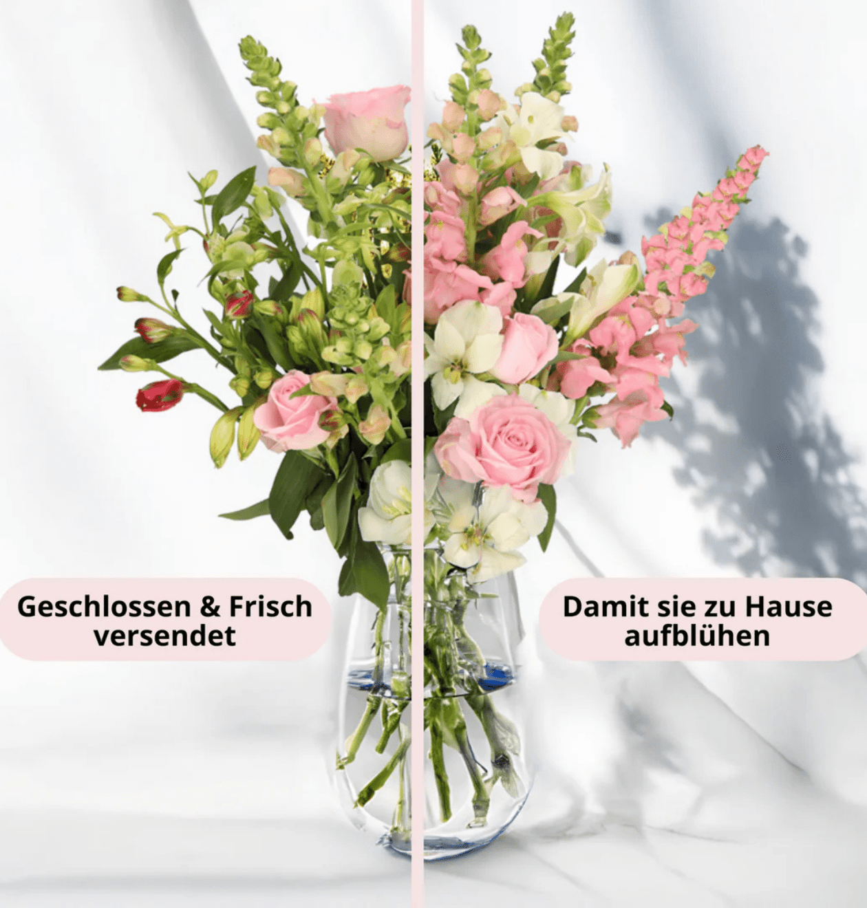 Blütenmeer XL - Blume Ideal