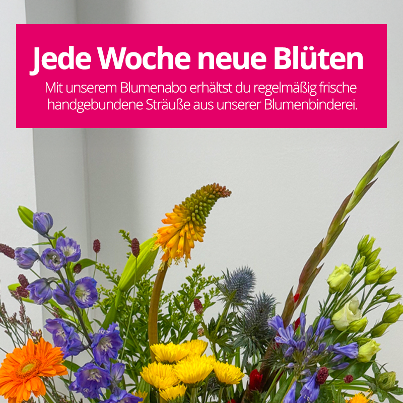 Blumenabo