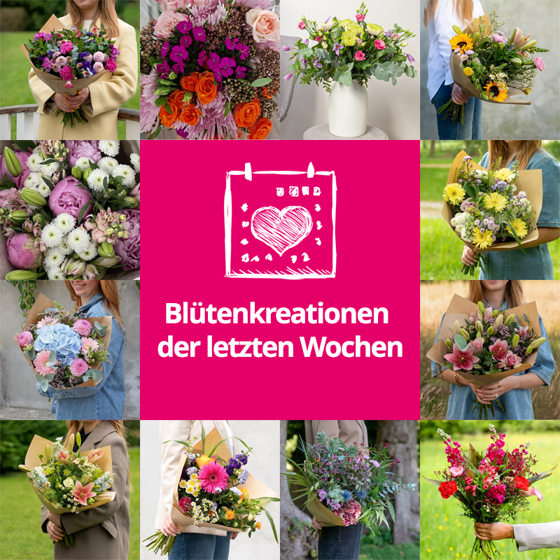 Feldblumenstrauß - Jede Woche neues Design