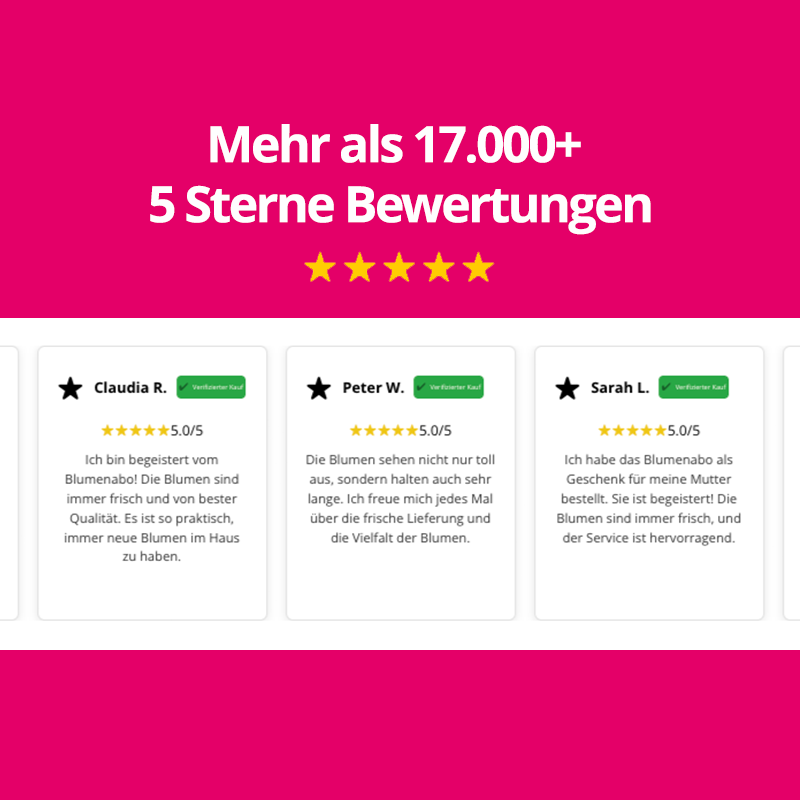 Feldblumenstrauß - Jede Woche neues Design