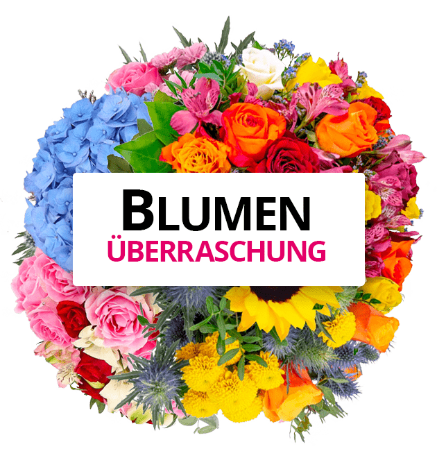 Blumenüberraschung XL - Blume Ideal