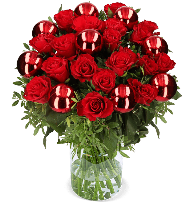 Christmas Red - Blume Ideal