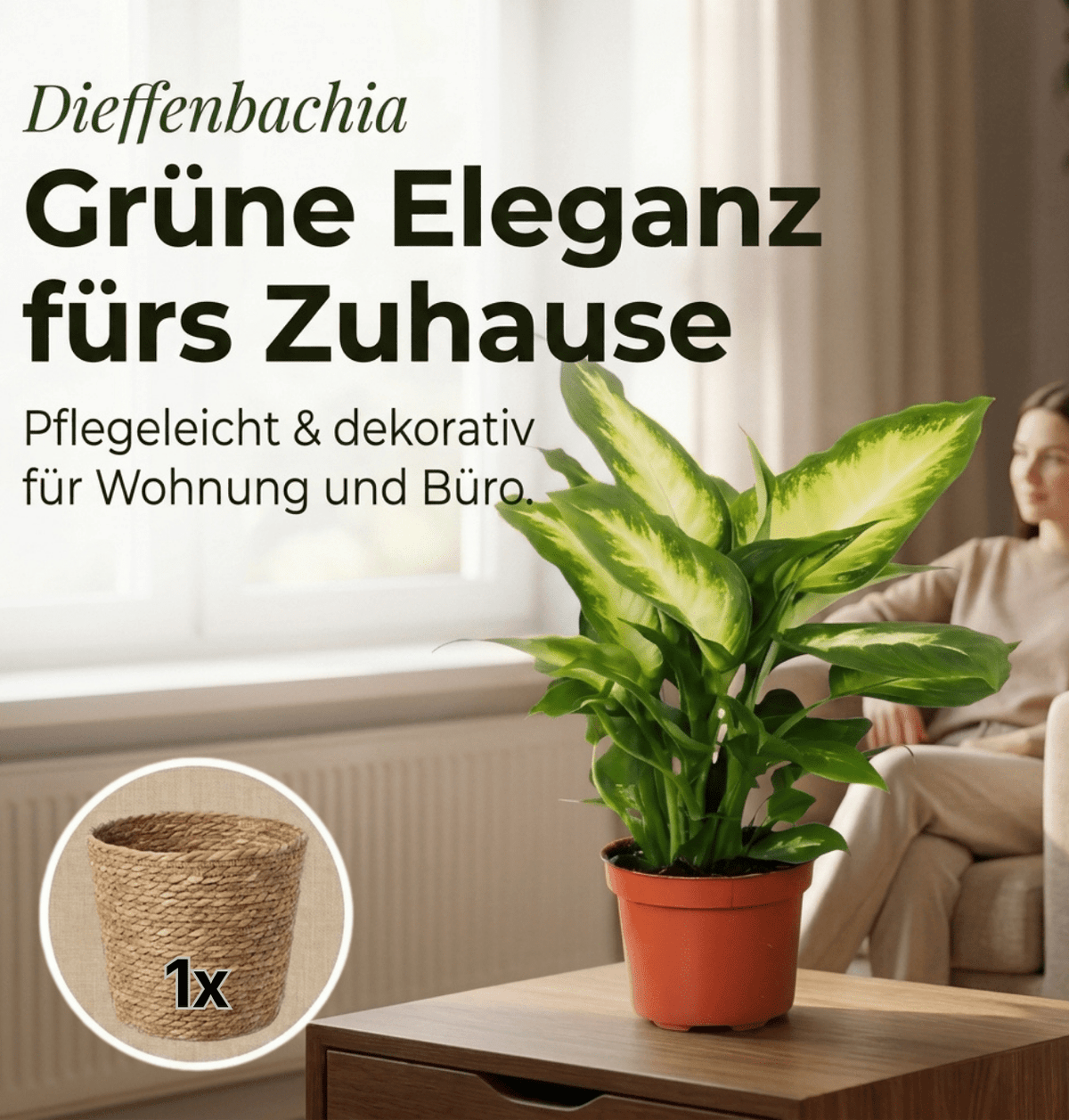 Dieffenbachia + 1x Seegraskorb | ca. 40-50 cm | Ø 12-15 cm Topf - Blume Ideal