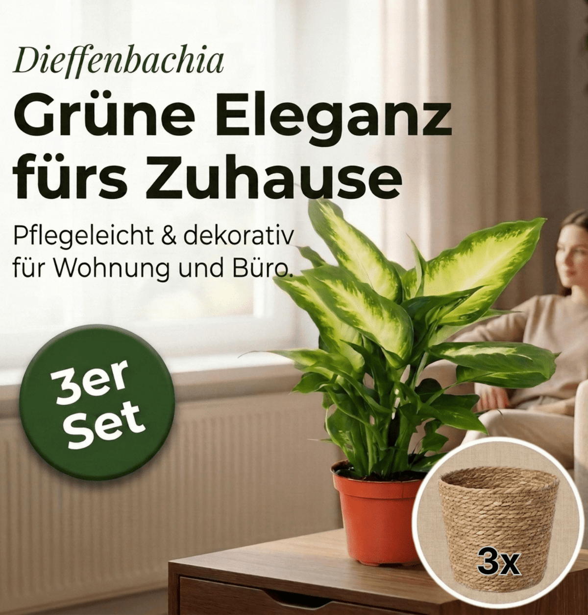 Dieffenbachia + 3x Seegraskorb | 3er-Set | ca. 40-50 cm | Ø 12-15 cm Topf - Blume Ideal