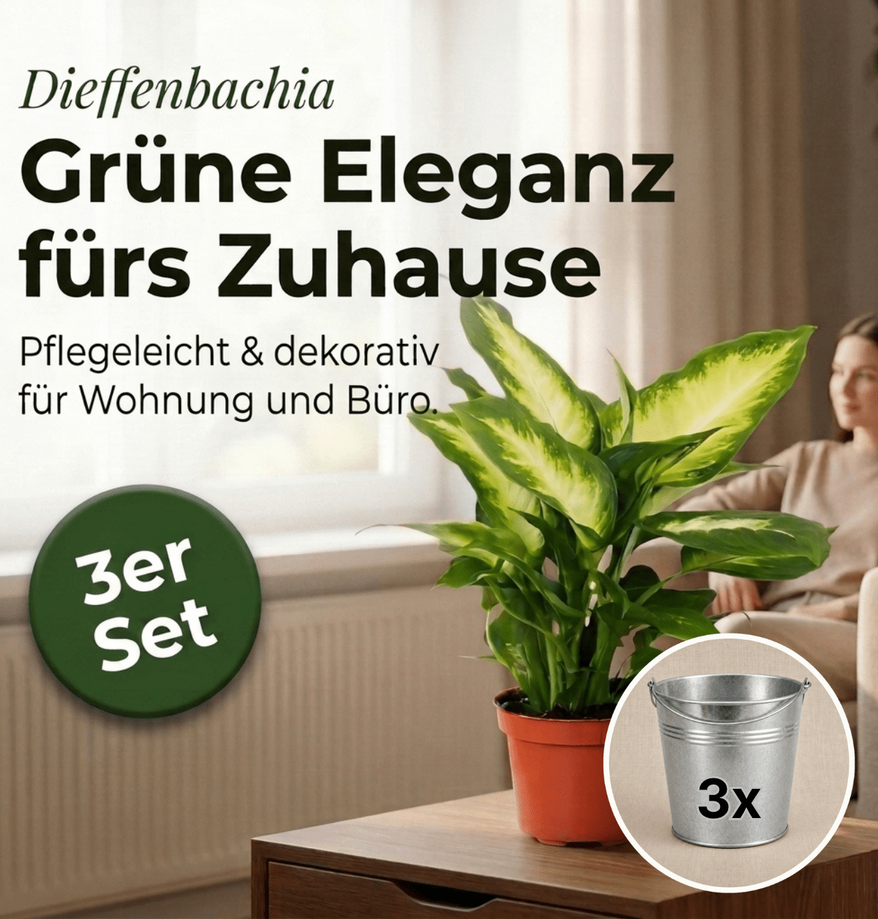 Dieffenbachia + 3x Zinktopf | 3er-Set | ca. 40-50 cm | Ø 12-15 cm Topf - Blume Ideal