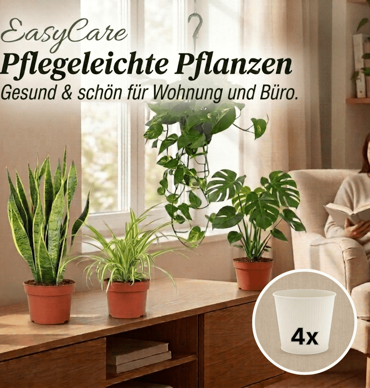 “EasyCare” Pflanzenset + 4x Cremefarbener Zinktopf | 4er-Set | ca. 30-60 cm | Ø 12-15 cm Topf - Blume Ideal