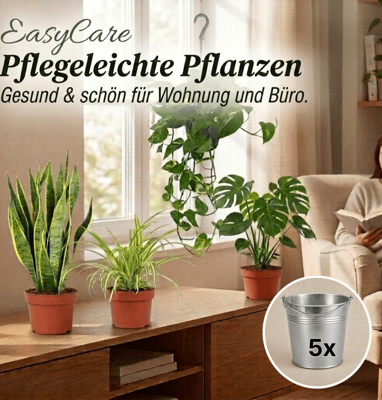 “EasyCare” Pflanzenset + Zinktopf | 5er - Set | ca. 30 - 60 cm | Ø 12 - 15 cm Topf - Blume Ideal