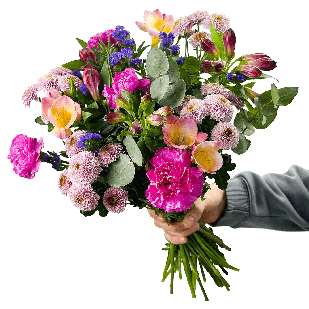 Farbenfreude - Blume Ideal