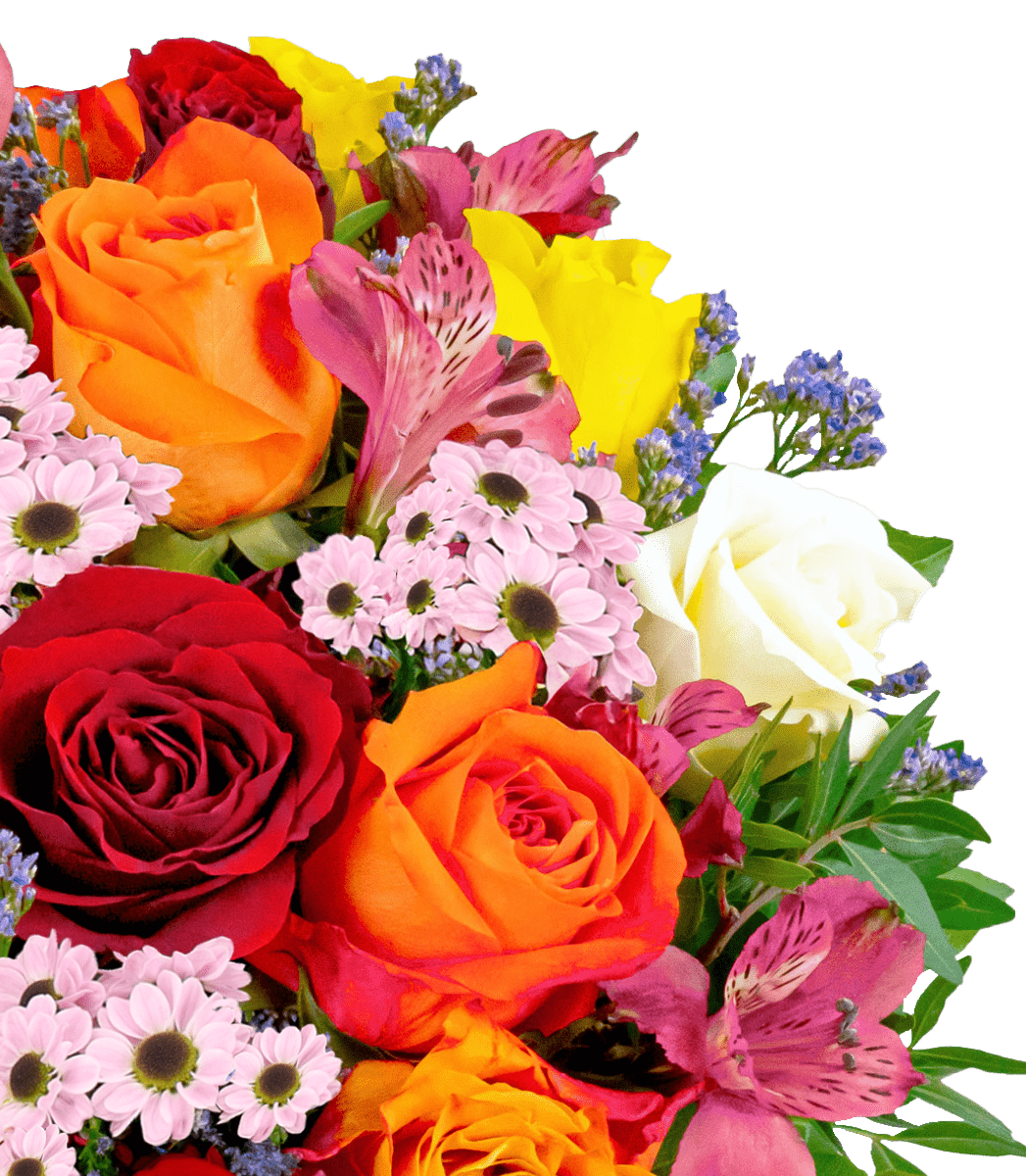 Farbtraum - Blume Ideal