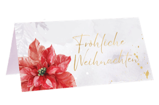 Fröhliche Weihnachten Amaryllis - Blume Ideal