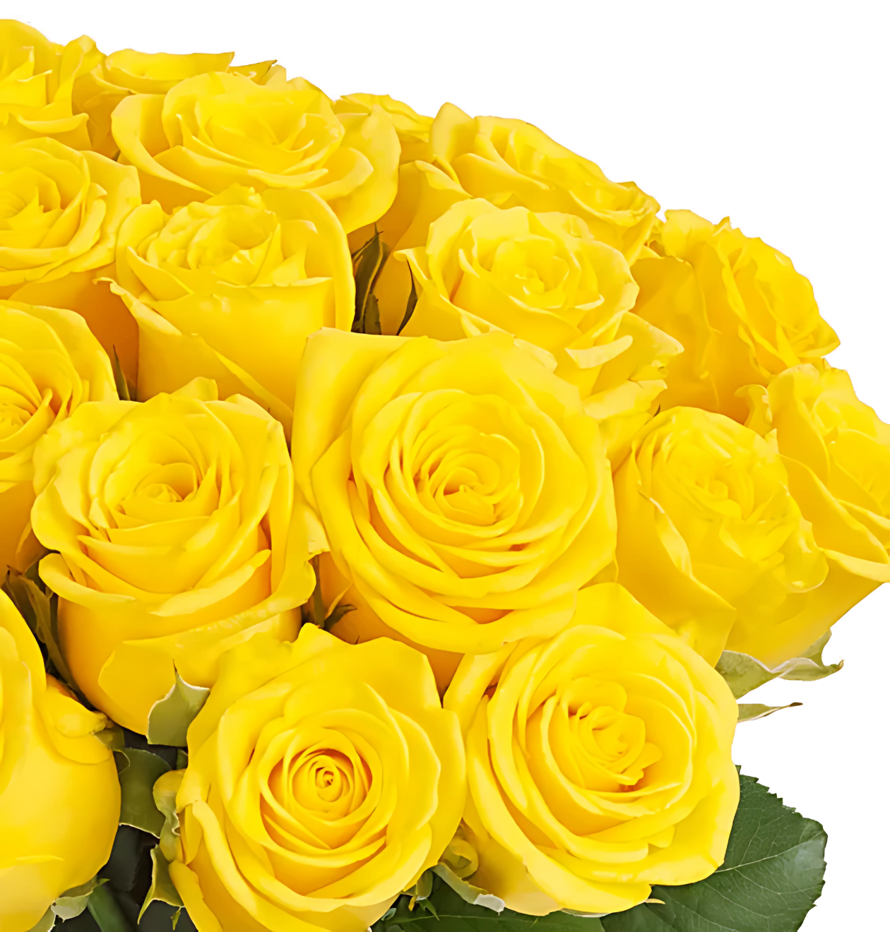 30 gelbe Rosen