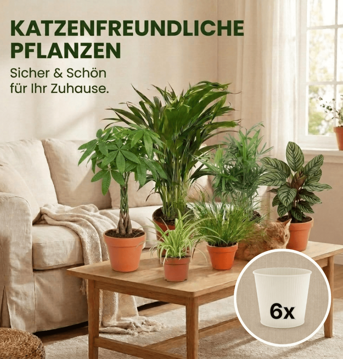 “Katzenliebhaber” Pflanzenset + 6x Cremefarbener Zinktopf | 6er-Set | ca. 30-45 cm | Ø 12-15 cm Topf - Blume Ideal