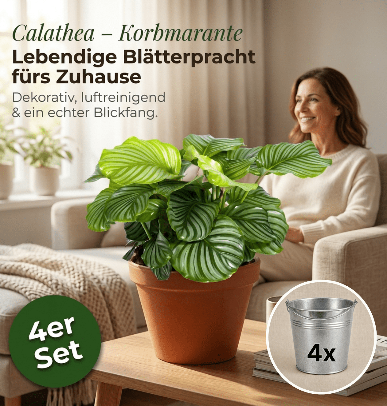 Jetzt die Calathea im 4er-Set + Zinktöpfe kaufen