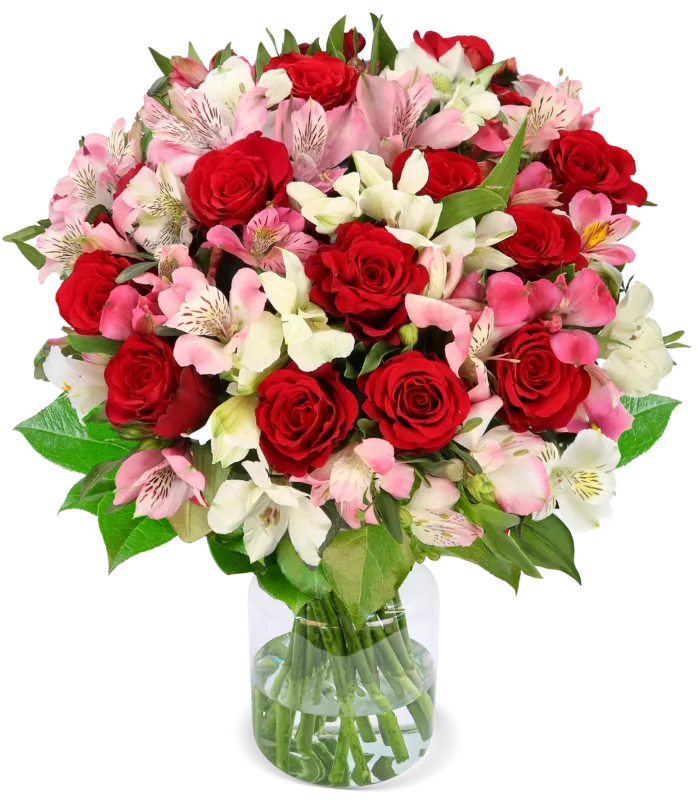 Liebesgruß mit bis zu 40 Blüten