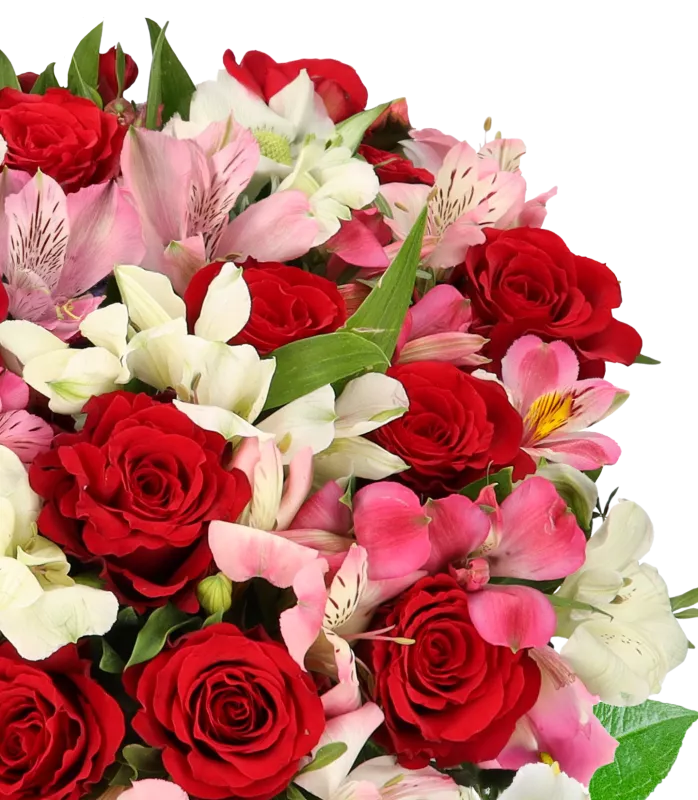 Liebesgruß mit bis zu 40 Blüten