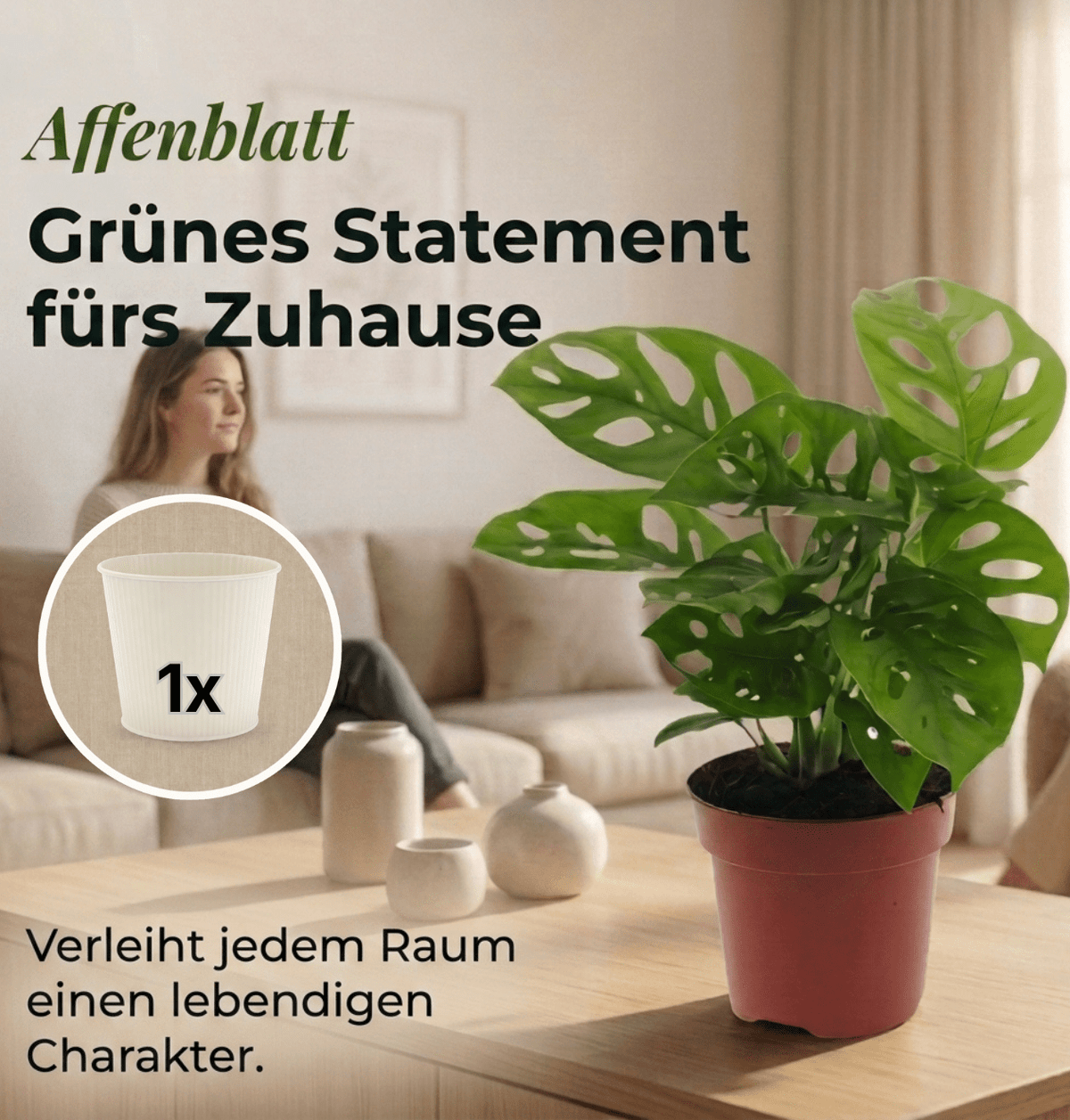 Monstera adansonii + 1x Cremefarbener Zinktopf | Monkey Leaf | ca. 25-30 cm | Ø 12-15 cm Topf - Blume Ideal