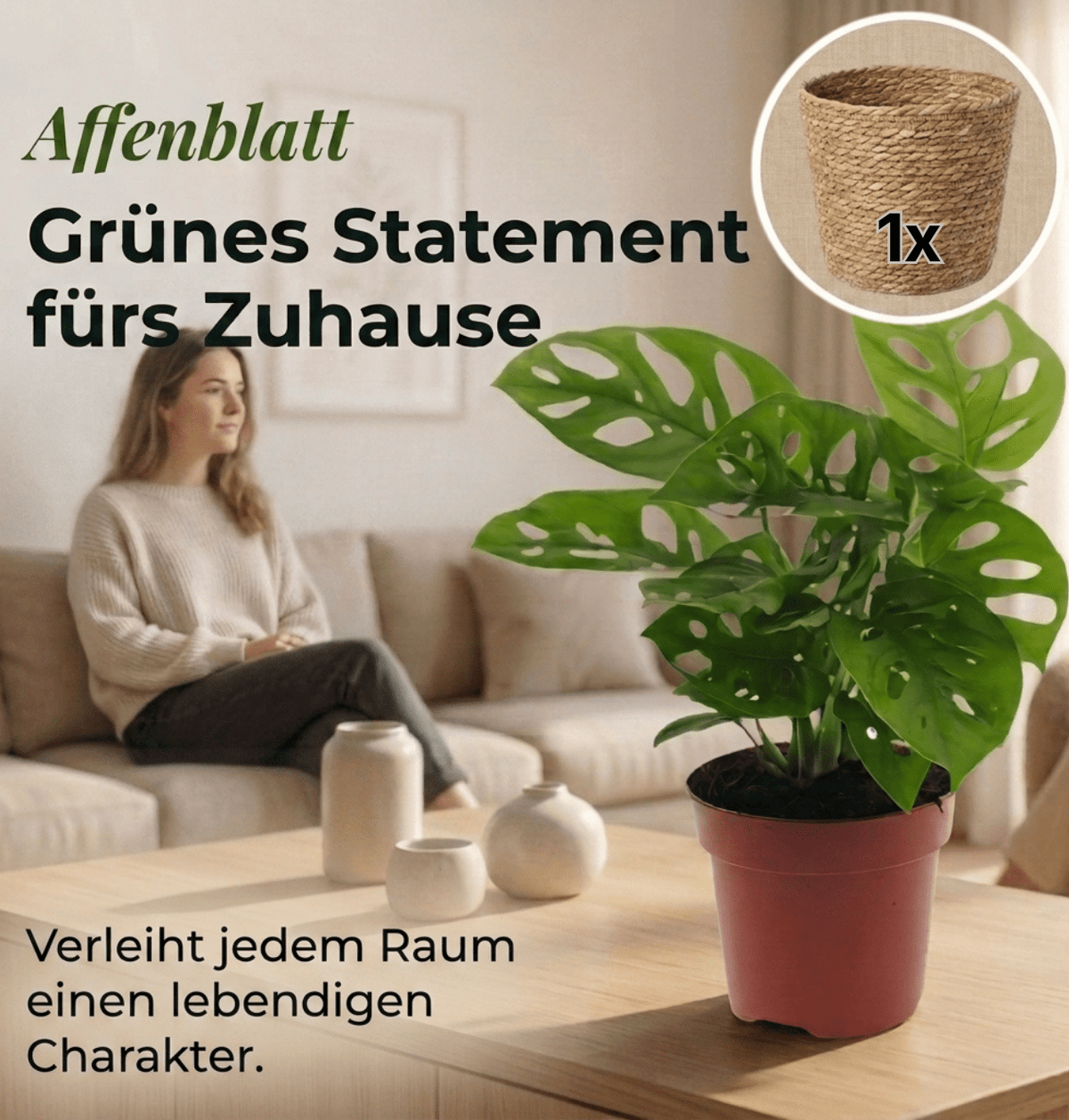 Monstera adansonii + 1x Seegraskorb | Monkey Leaf | ca. 25-30 cm | Ø 12-15 cm Topf - Blume Ideal