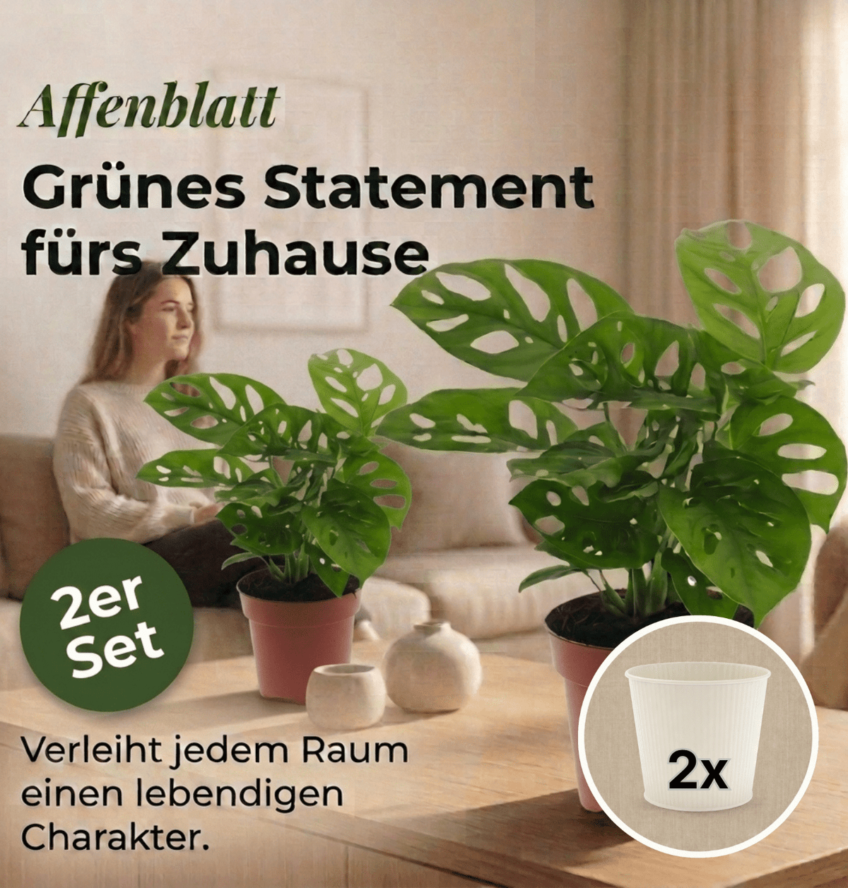 Monstera adansonii + 2x Cremefarbener Zinktopf | 2er-Set | Monkey Leaf | ca. 25-30 cm | Ø 12-15 cm Topf - Blume Ideal