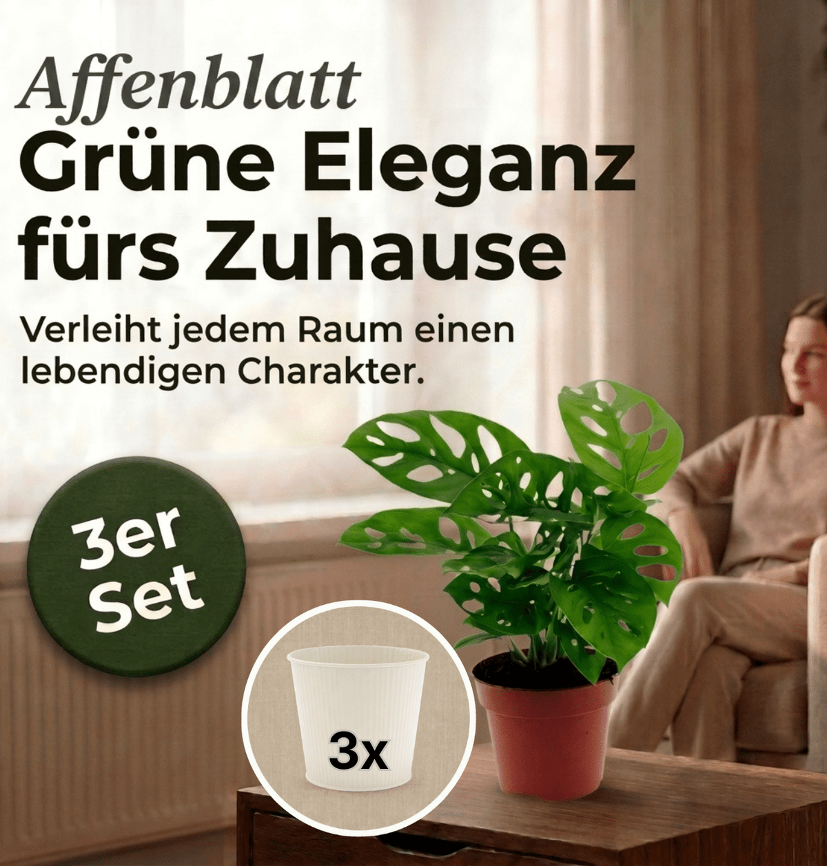 Monstera adansonii + 3x Cremefarbener Zinktopf | 3er-Set | Monkey Leaf | ca. 25-30 cm | Ø 12-15 cm Topf - Blume Ideal